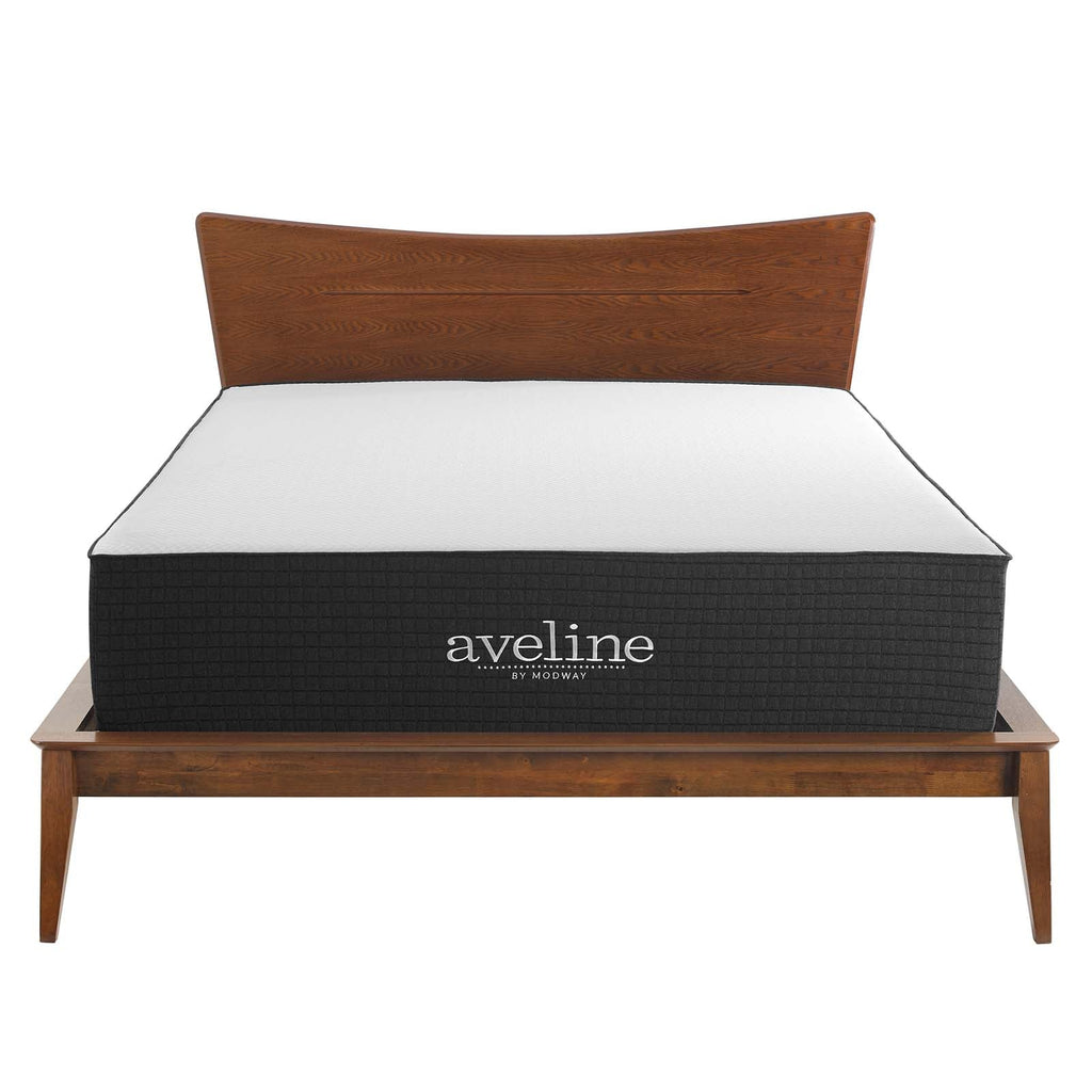 Aveline 14" Memory Foam Full Mattress by Modway