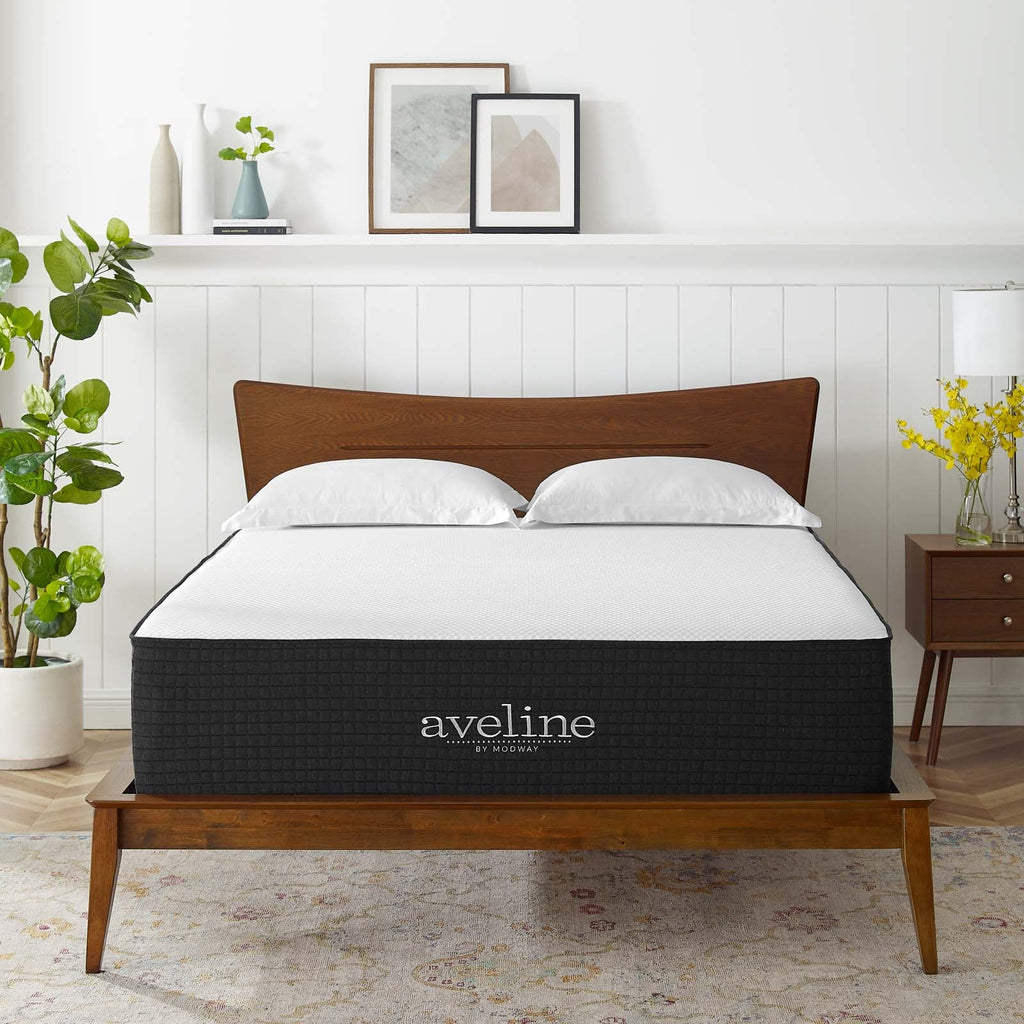 Aveline 16" Memory Foam Twin Mattress by Modway