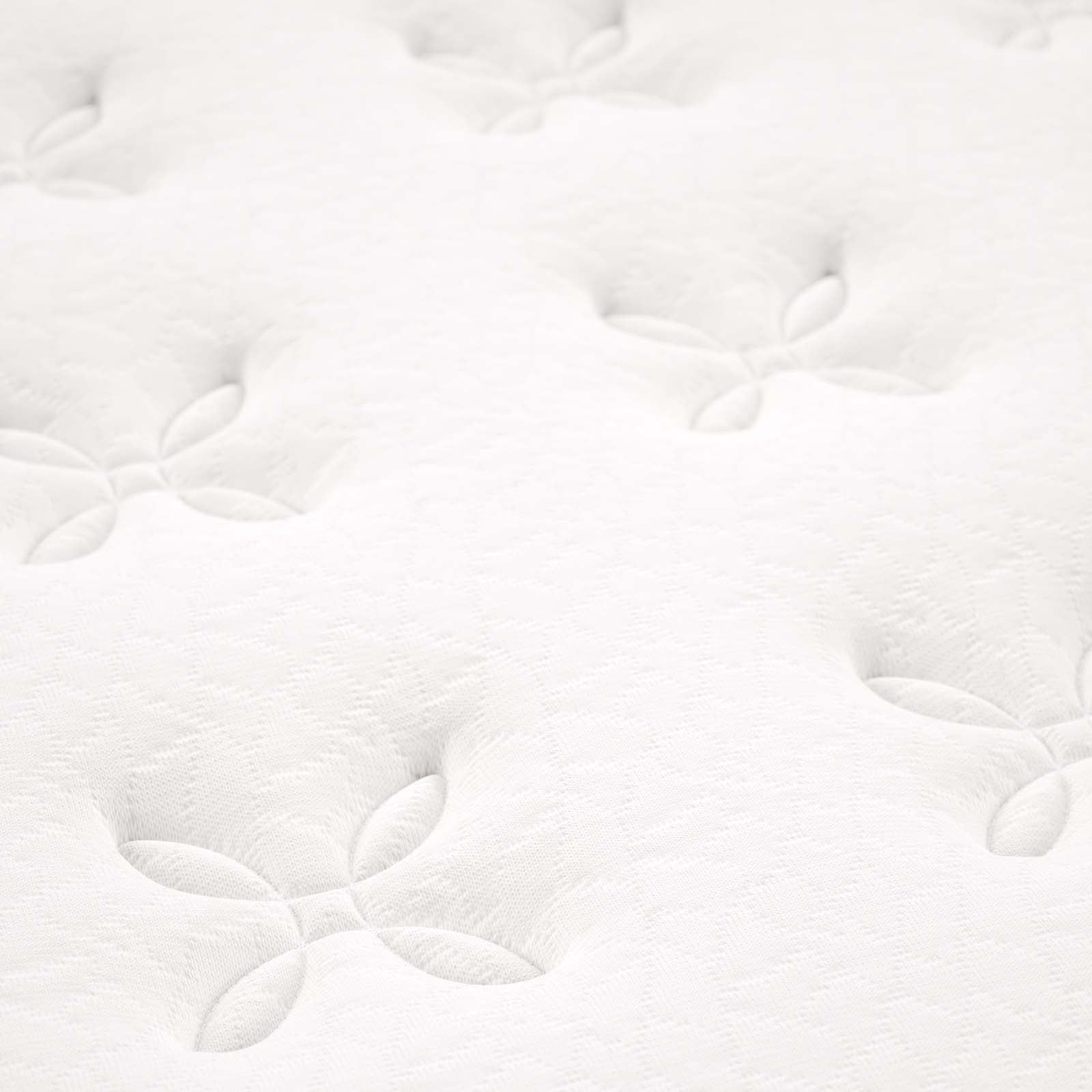 Jenna 6" Innerspring and Foam Twin Mattress by Modway