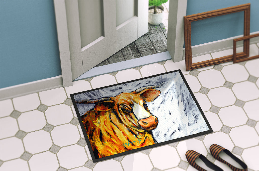 Bully Doormat Indoor Outdoor 24H X 36W Front Door Mat Rugs for Entryway, Non Slip Washable Low Pile,