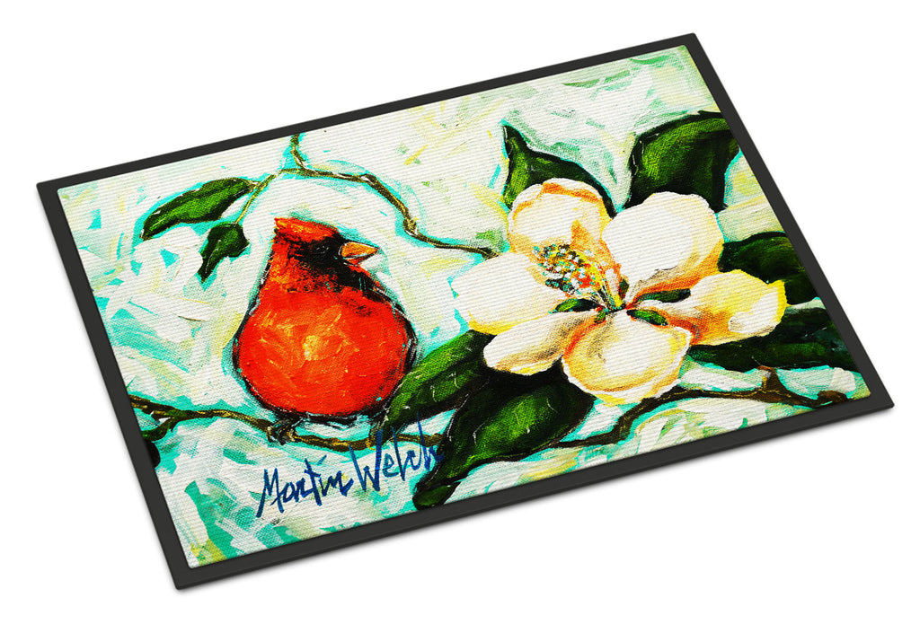 Cardinal Aqua Doormat Indoor Outdoor 24H X 36W Front Door Mat Rugs for Entryway, Non Slip Washable Low Pile,