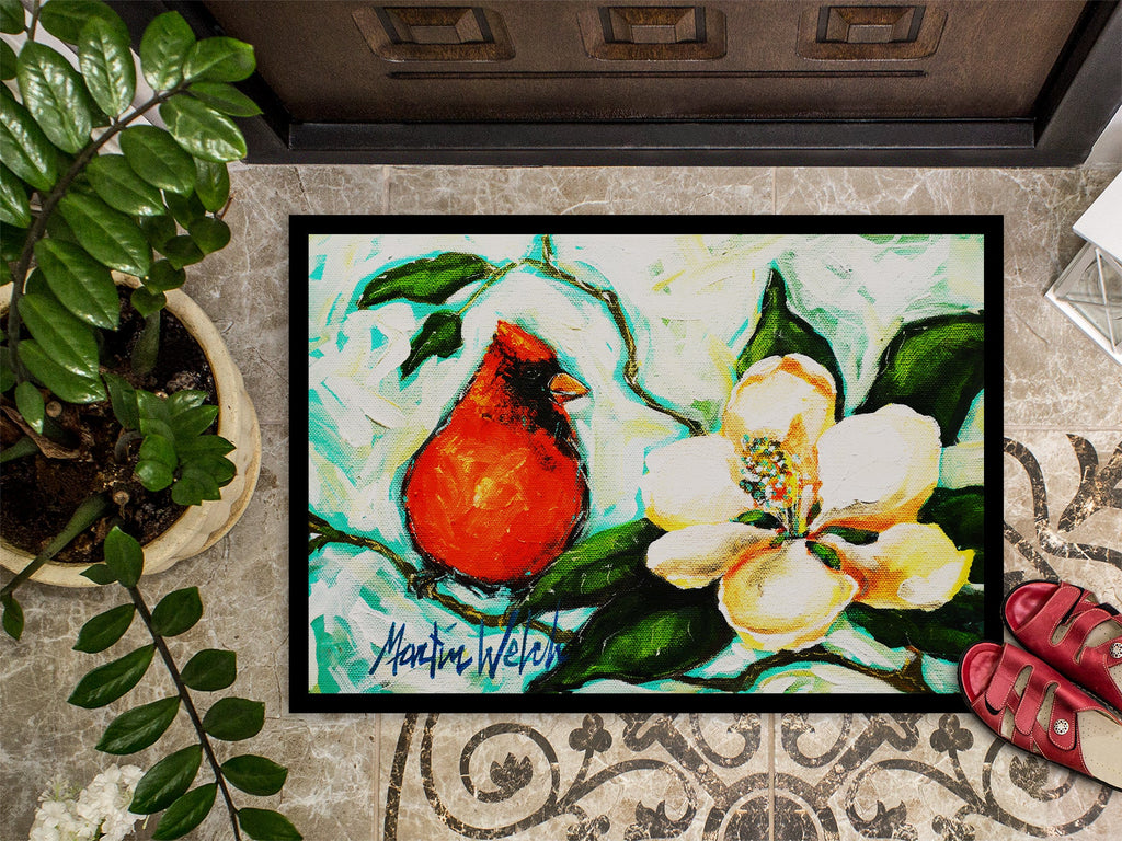 Cardinal Aqua Doormat Indoor Outdoor 18H X 27W Front Door Mat Rugs for Entryway, Non Slip Washable