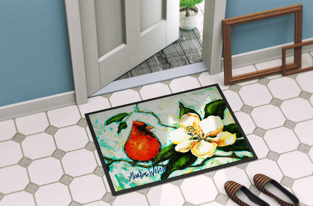 Cardinal Aqua Doormat Indoor Outdoor 18H X 27W Front Door Mat Rugs for Entryway, Non Slip Washable