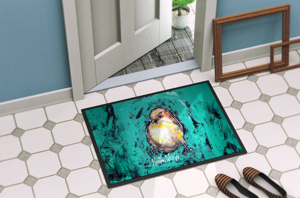 EeewH Bird Doormat Indoor Outdoor 24H X 36W Front Door Mat Rugs for Entryway, Non Slip Washable Low Pile,