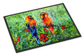 Fred and Freda Parrots Doormat Indoor Outdoor 18H X 27W Front Door Mat Rugs for Entryway, Non Slip Washable