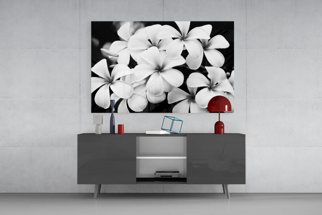 Monochrome Plumeria Cluster Glass Wall Art
