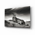 Black And White Lioness On Dune Glass Wall Art