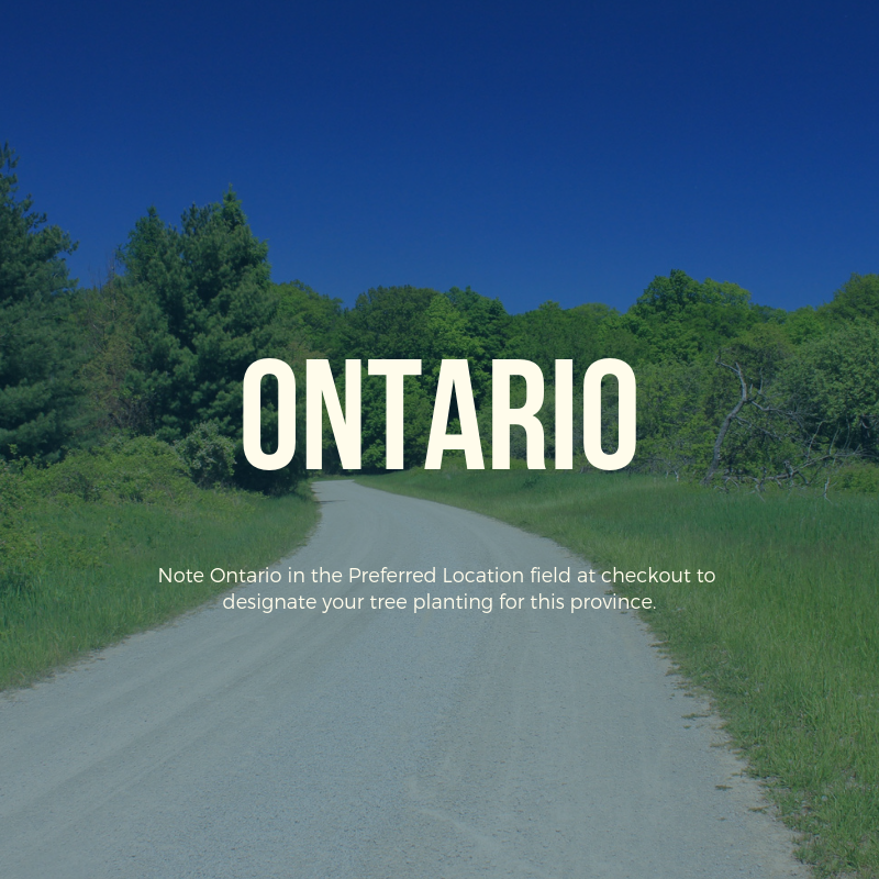 Plant a Tree in Canada with Personalized Photo Card