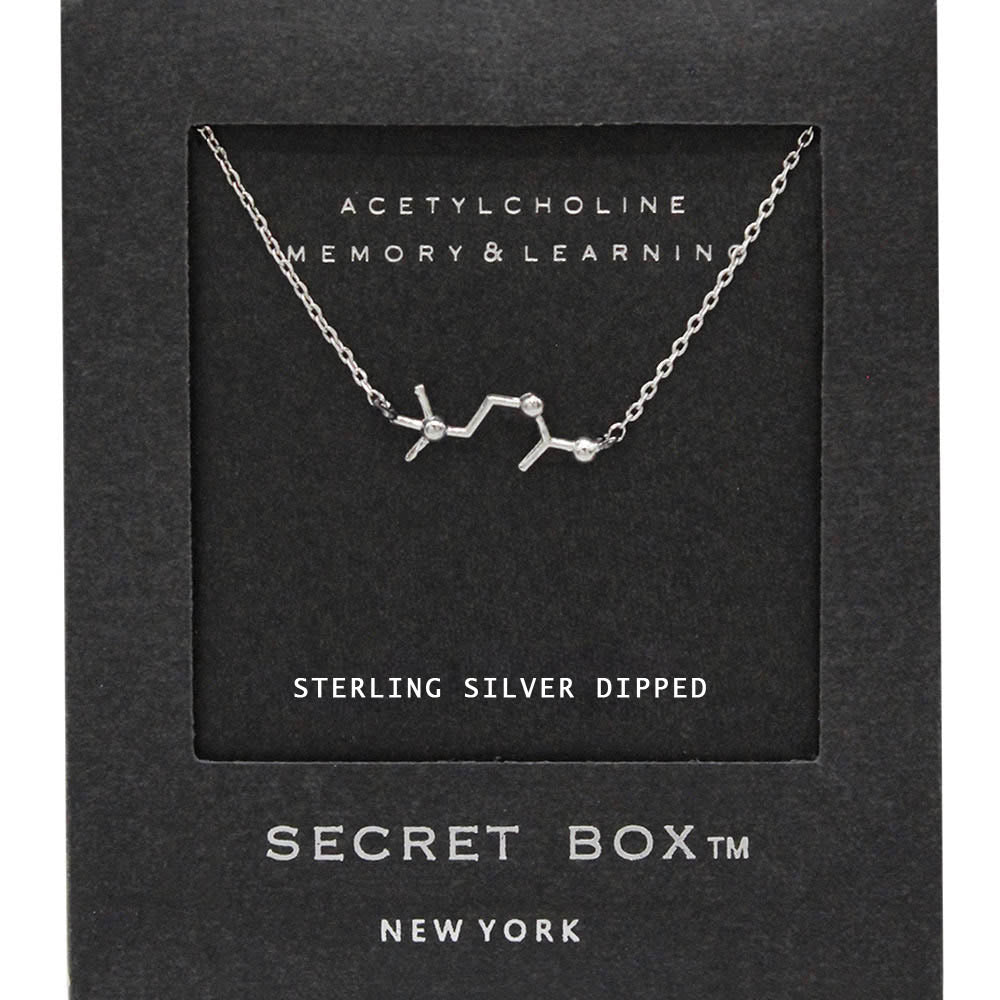 SECRET BOX_Sterling Silver Dipped Acetylcholine Hormone Molecule Necklace