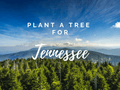 Plant a Tree for Someone in Tennessee - Memorial & Tribute Trees