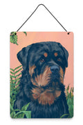 Rottweiler Wall or Door Hanging Prints Aluminum Metal Sign Kitchen Wall Bar Bathroom Plaque Home Decor Front Door Plaque, 12x16, Multicolor