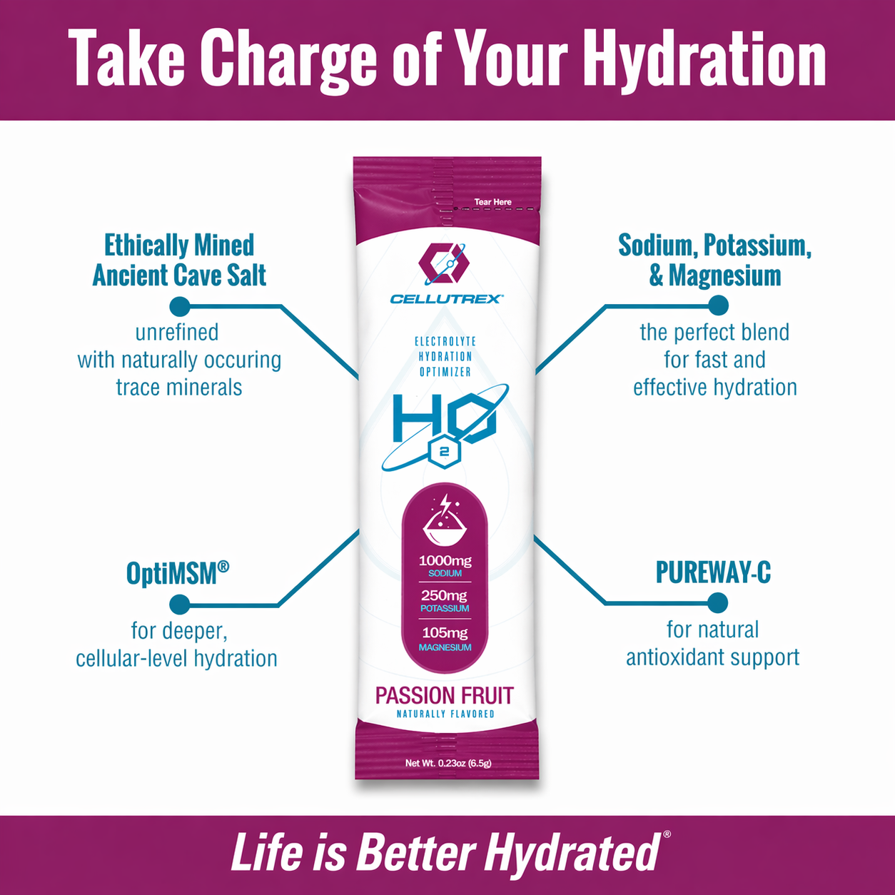 H2O ELECTROLYTES™ - Passion Fruit | Zero Sugar Electrolyte Powder