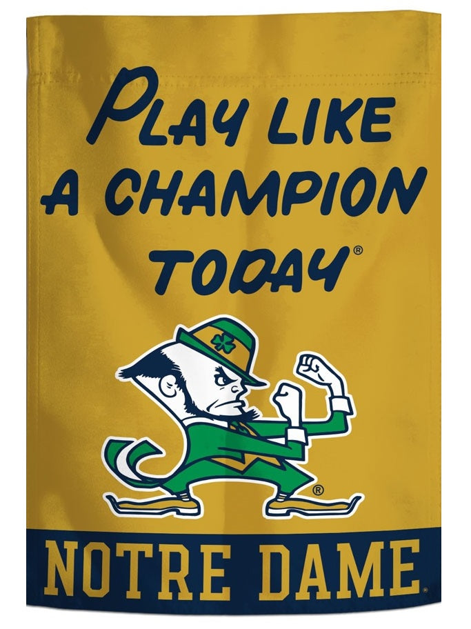 Play Like A Champion Today 2 Sided Garden Flag