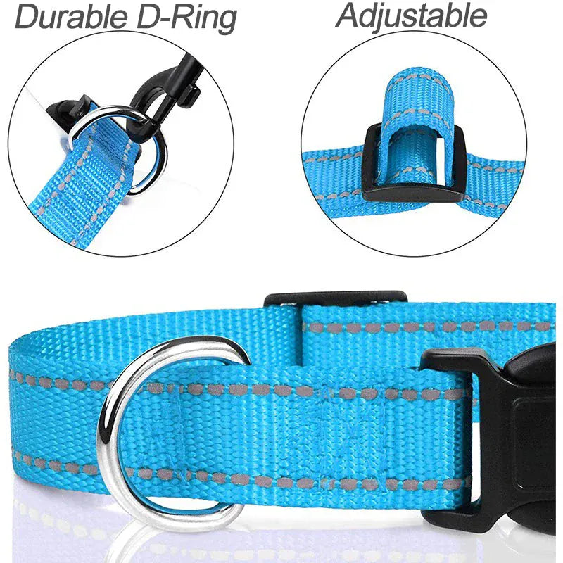 Puppy Neck Collars.