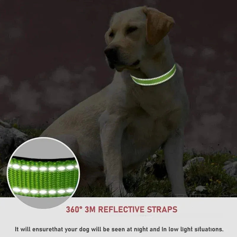 Puppy Neck Collars.