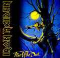 Iron Maiden ‎– Fear Of The Dark [180G] 2x Vinyl LP Record