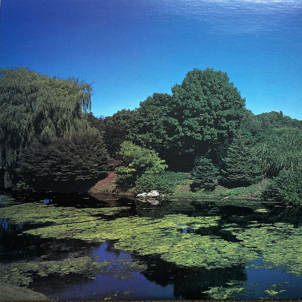 Shellac - Terraform [180G] Vinyl LP Record