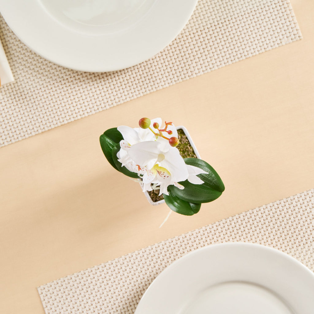 Fiore White Plastic Orchid in Plastic Pot - 5 Blooms - 4" x 4" x 13" - 12 count box