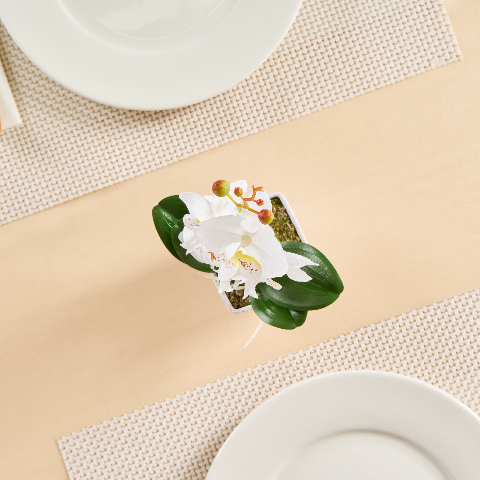 Fiore White Plastic Orchid in Plastic Pot - 5 Blooms - 4" x 4" x 13" - 12 count box