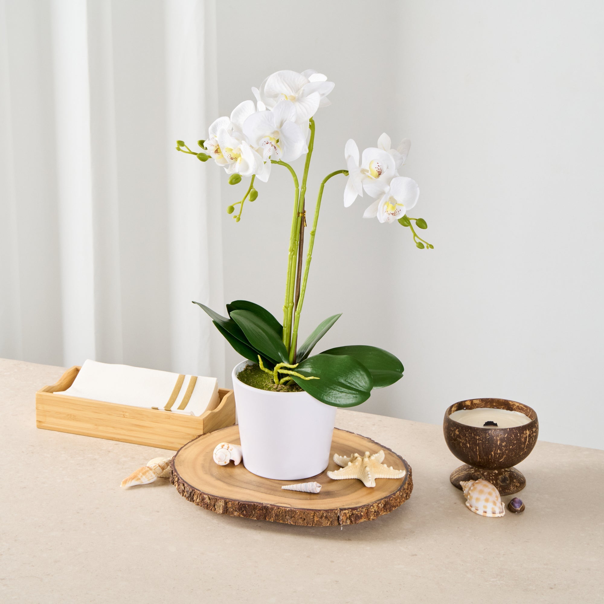 Fiore White Plastic Orchid in Plastic Pot - 12 Blooms - 5 1/2" x 5 1/2" x 19" - 6 count box