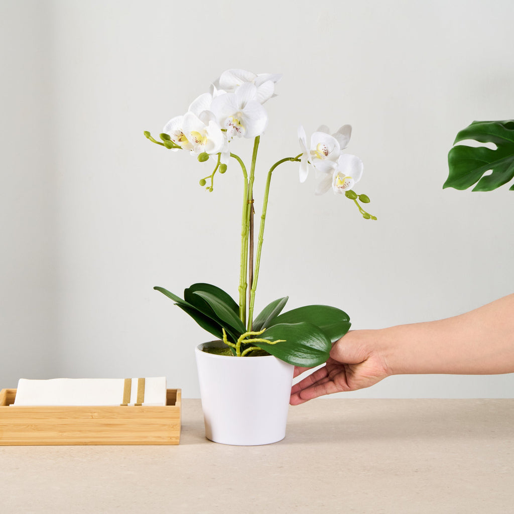 Fiore White Plastic Orchid in Plastic Pot - 12 Blooms - 5 1/2" x 5 1/2" x 19" - 6 count box