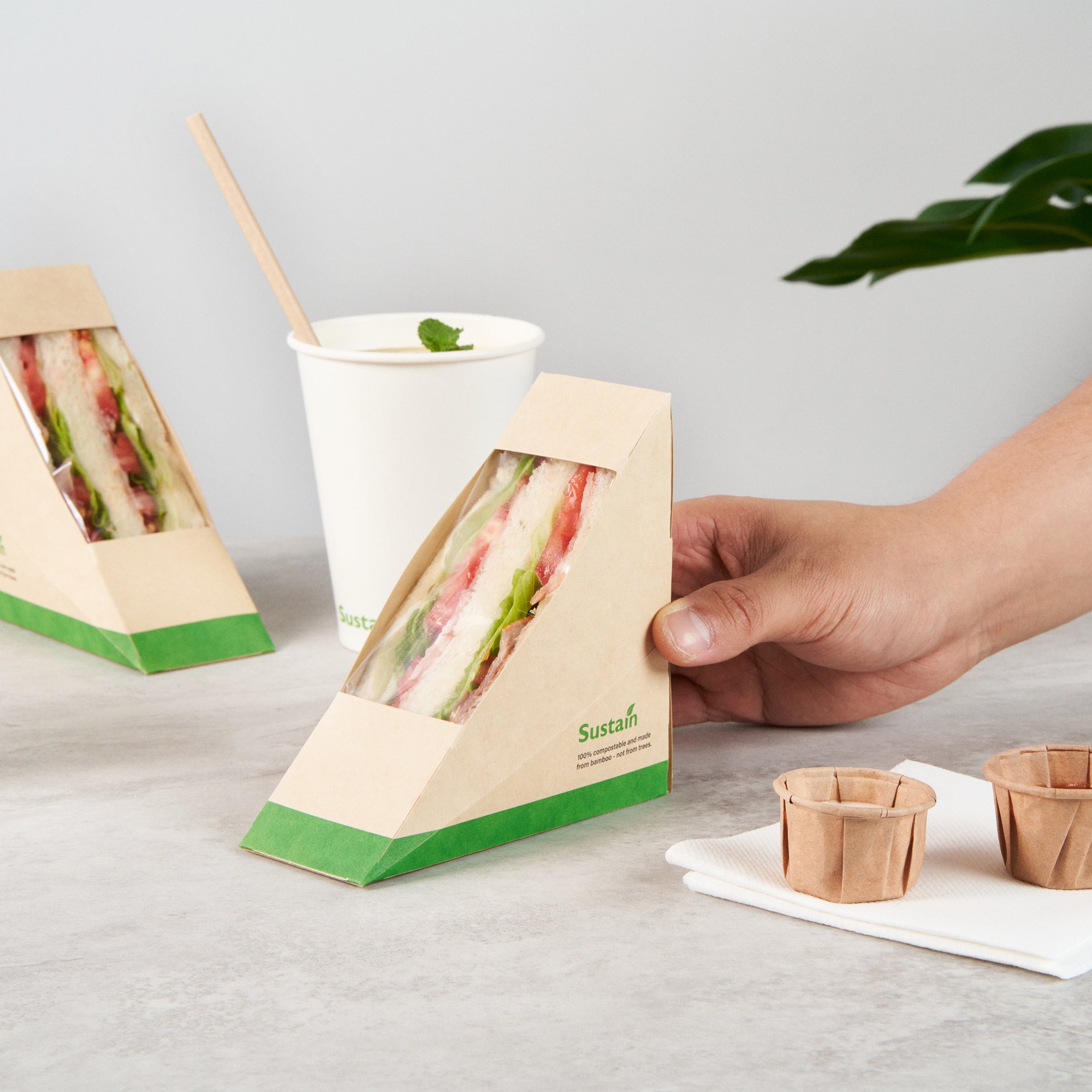 Sustain Bamboo Paper Small Sandwich Box - with PLA Lining and Window, Compostable - 4 3/4" x 4 3/4" x 2" - 200 count box