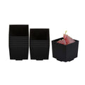 Mini Serve 3 oz Square Black Plastic Quadrato Cup - 1 3/4" x 1 1/2" x 1 3/4" - 100 count box
