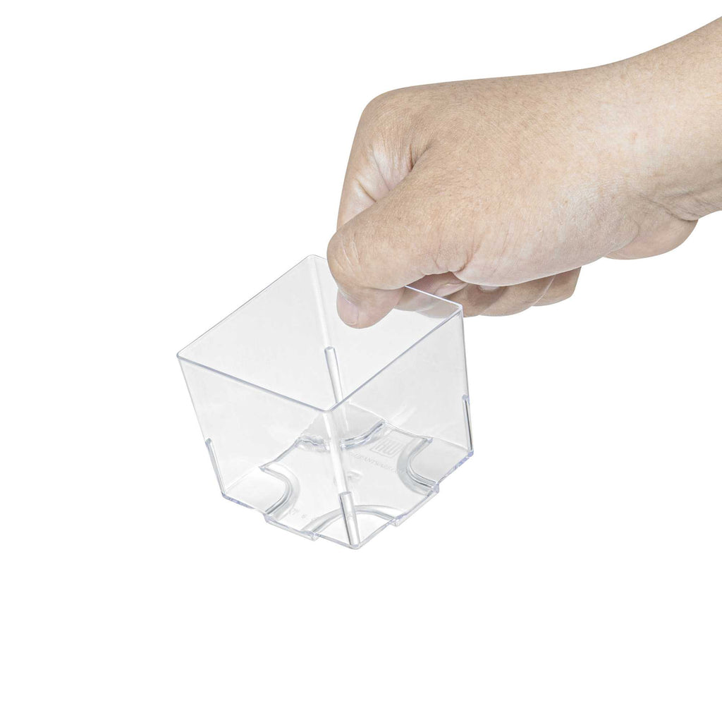 Mini Serve 5 oz Square Clear Plastic Large Quadrato Cube - 2 1/4" x 2 1/4" x 2 1/4" - 100 count box