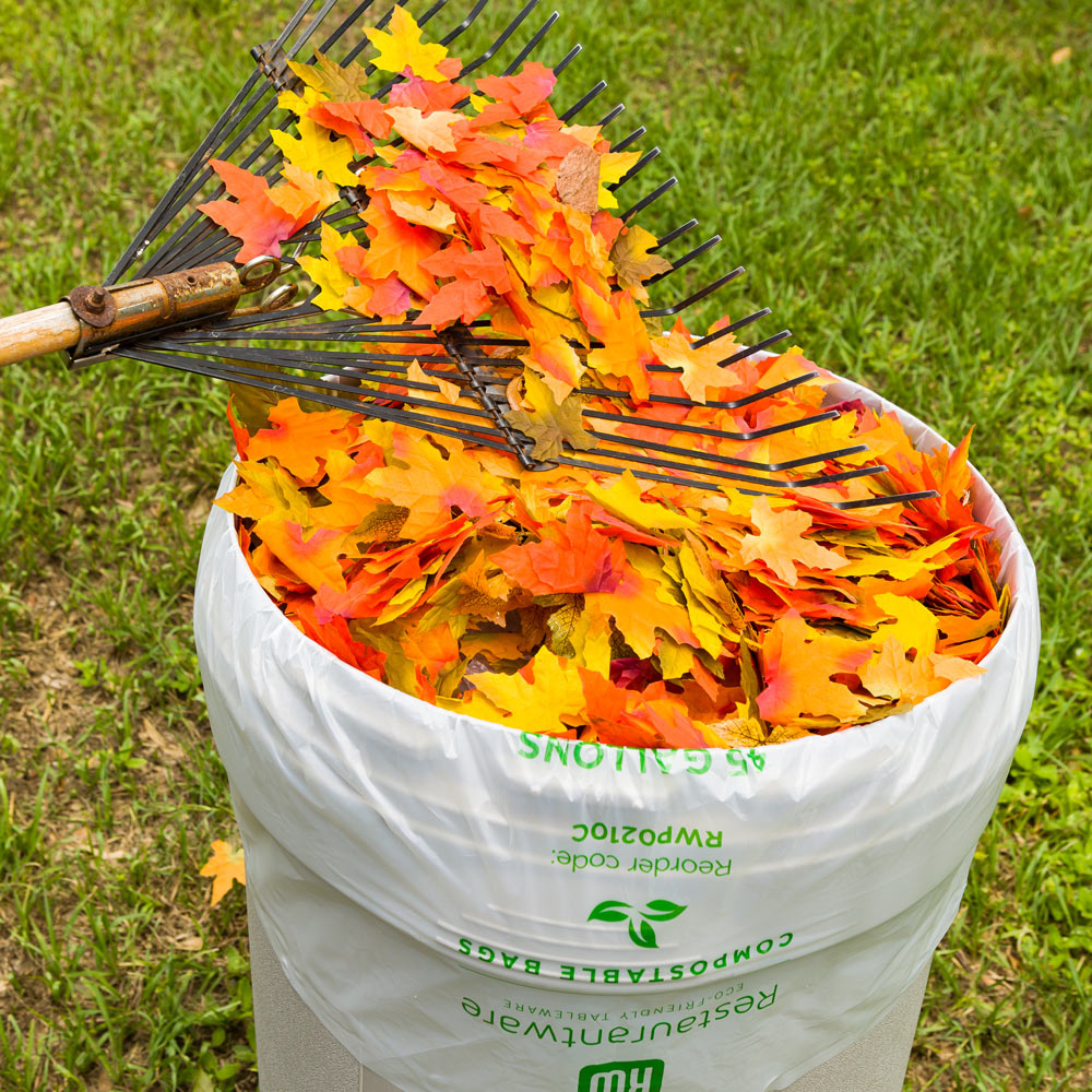 Basic Nature 45 gal Clear Plastic Trash Can Liner - Compostable - 100 count box