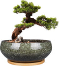 8 Inch Glazed Ceramic Bonsai Pot with Drainage Hole and Bamboo Saucer for Succulents, Indoor Plants