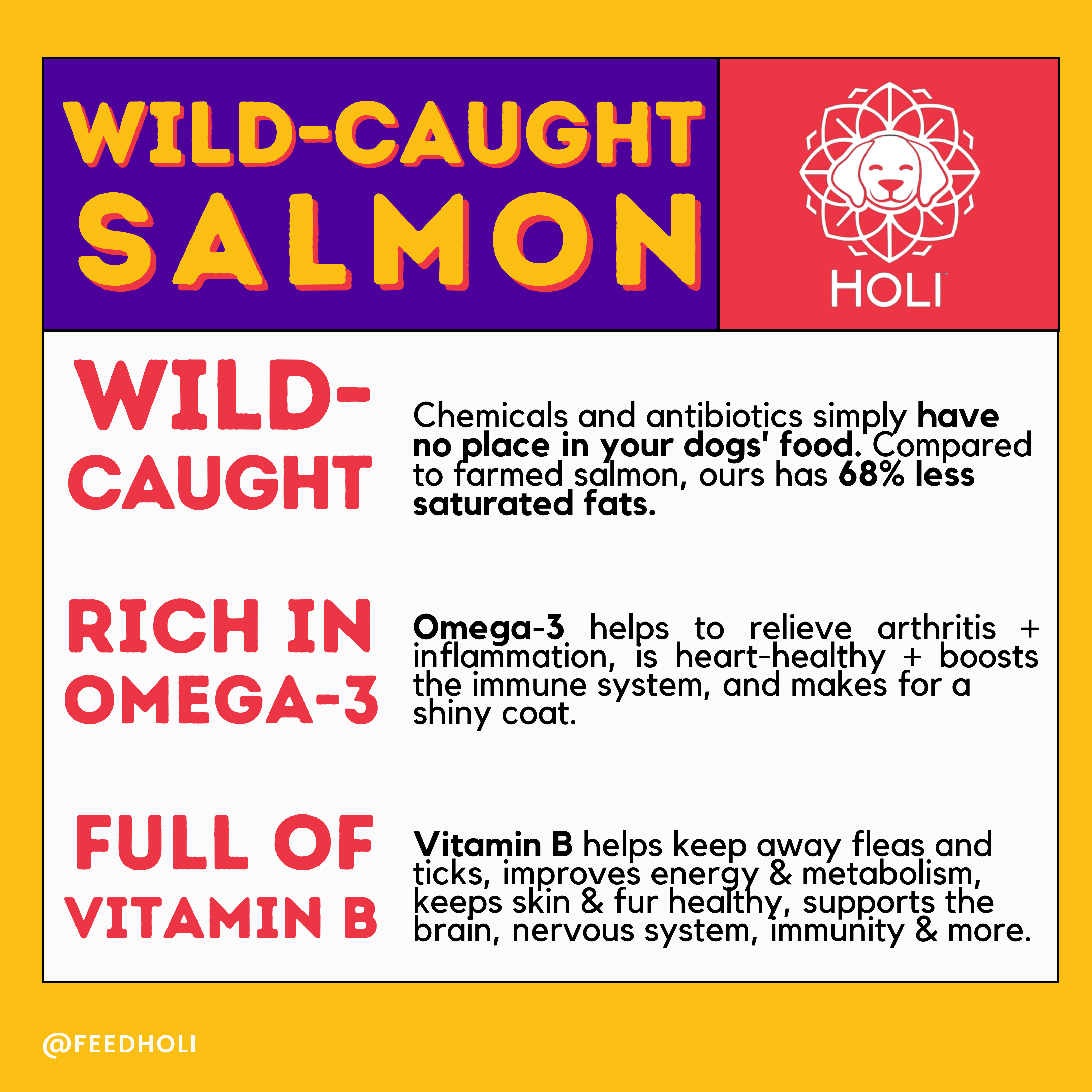 Wild Caught Salmon Dog Treats