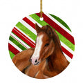 Horse Foal Candy Cane Holiday Christmas Ceramic Ornament Christmas Tree Hanging Decorations for Home Christmas Holiday, Party, Gift, 3 in, Multicolor