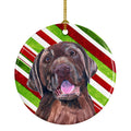 Labrador Candy Cane Holiday Christmas Ceramic Ornament Christmas Tree Hanging Decorations for Home Christmas Holiday, Party, Gift, 3 in, Multicolor