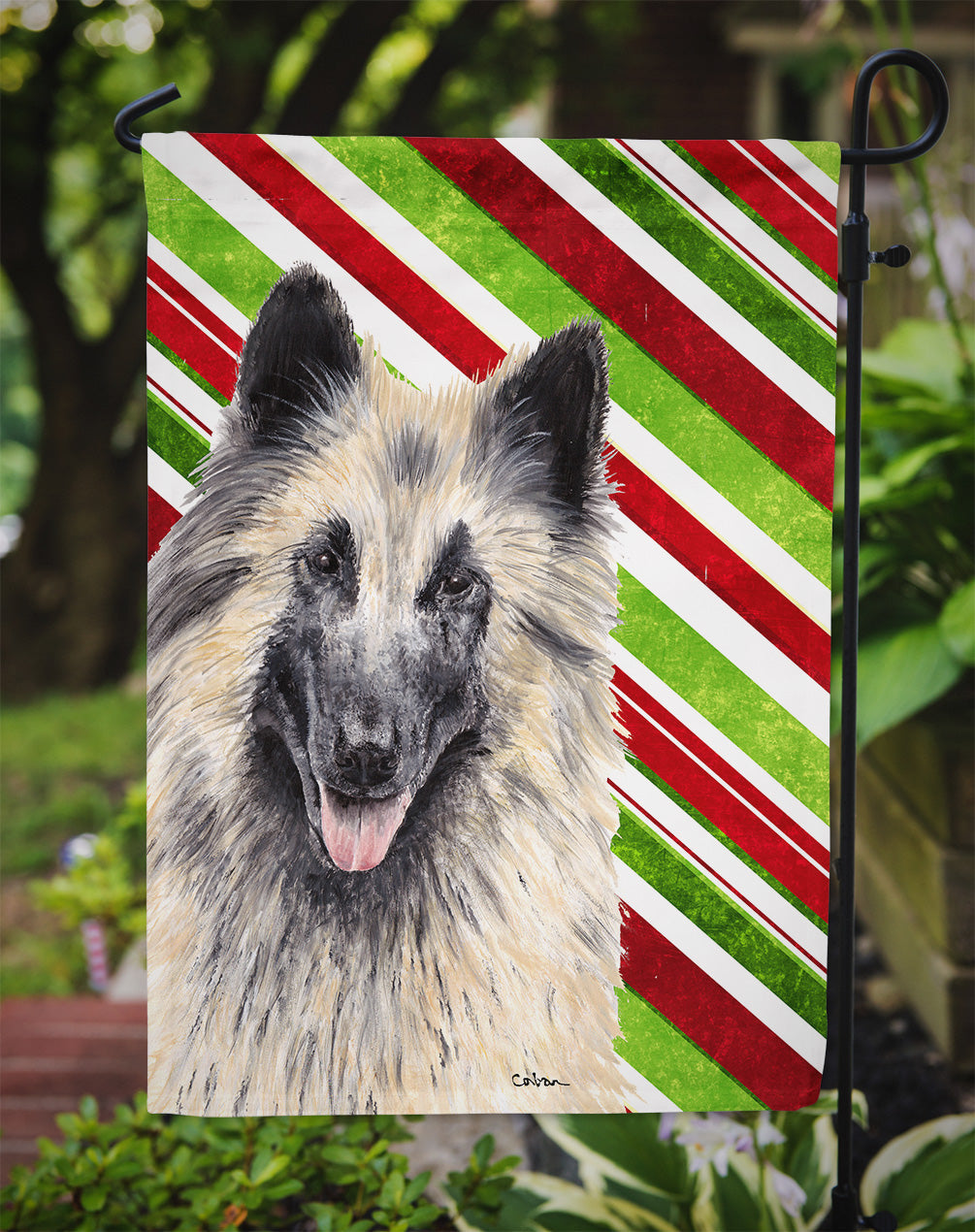 Belgian Tervuren Candy Cane Holiday Christmas Garden Flag Mailbox Decorative Yard Banner Outside Patio Artwork for Flower Beds, Garden Size, Multicolor