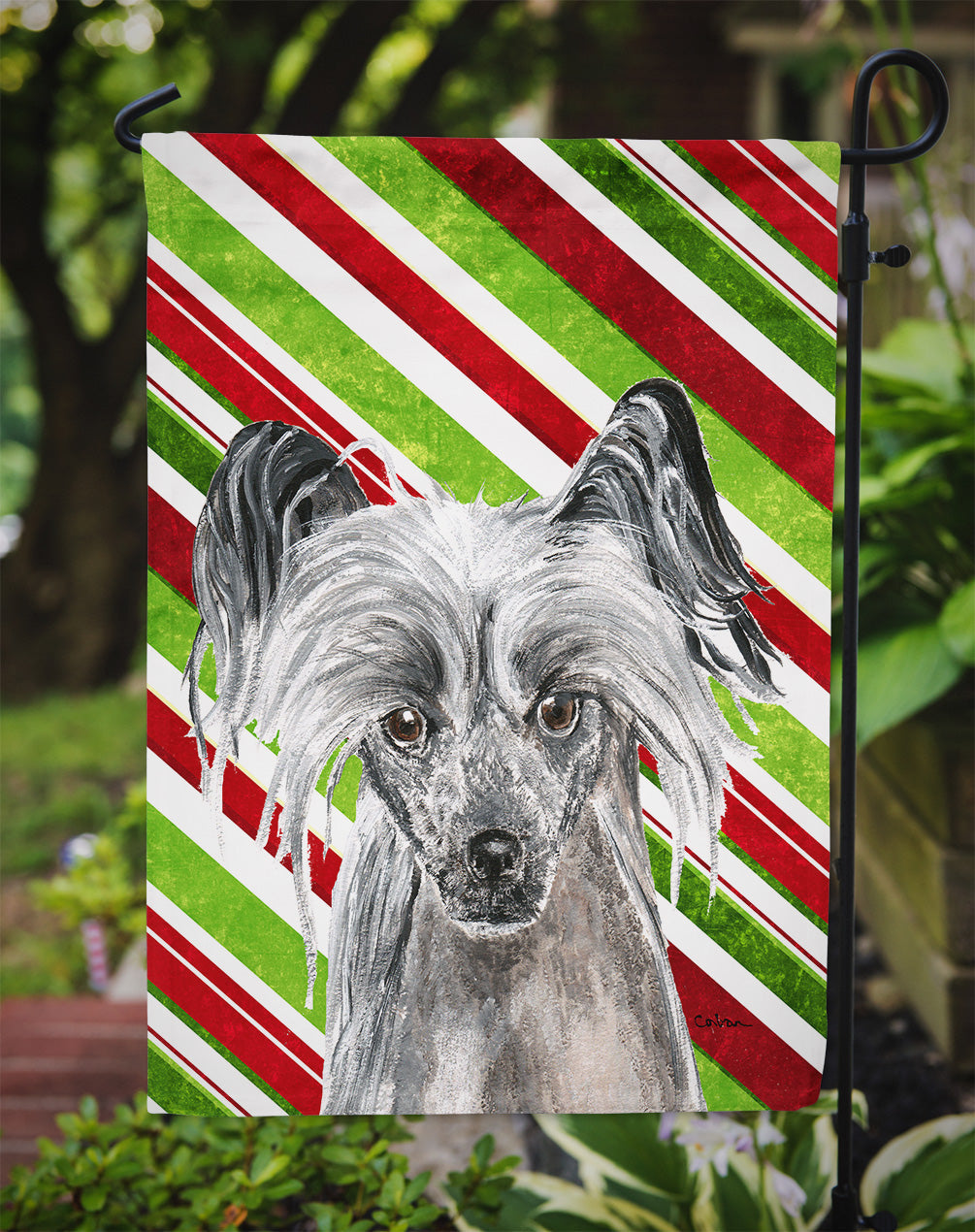 Chinese Crested Candy Cane Christmas Garden Flag Mailbox Decorative Yard Banner Outside Patio Artwork for Flower Beds, Garden Size, Multicolor