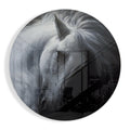Bowed White Horse Circle Glass Wall Art