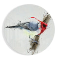 Red Crested Bird Watercolor Splatter Glass Wall Art