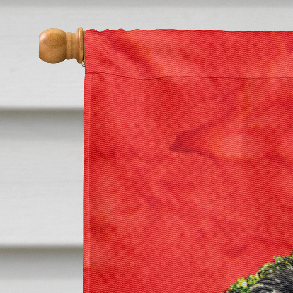 Affenpinscher Cristmas Wreath House Flag 28x40 Porch Sleeve Pole Decorative Outside Yard Banner Artwork Wall Hanging, Polyester