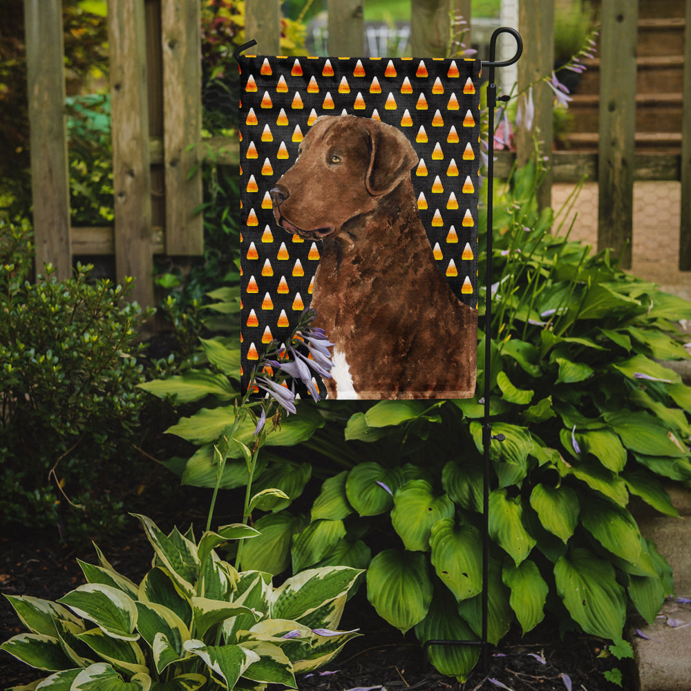 Chesapeake Bay Retriever Wheaten Candy Corn Halloween Portrait Garden Flag Mailbox Decorative Yard Banner Outside Patio Artwork for Flower Beds, Garden Size, Multicolor
