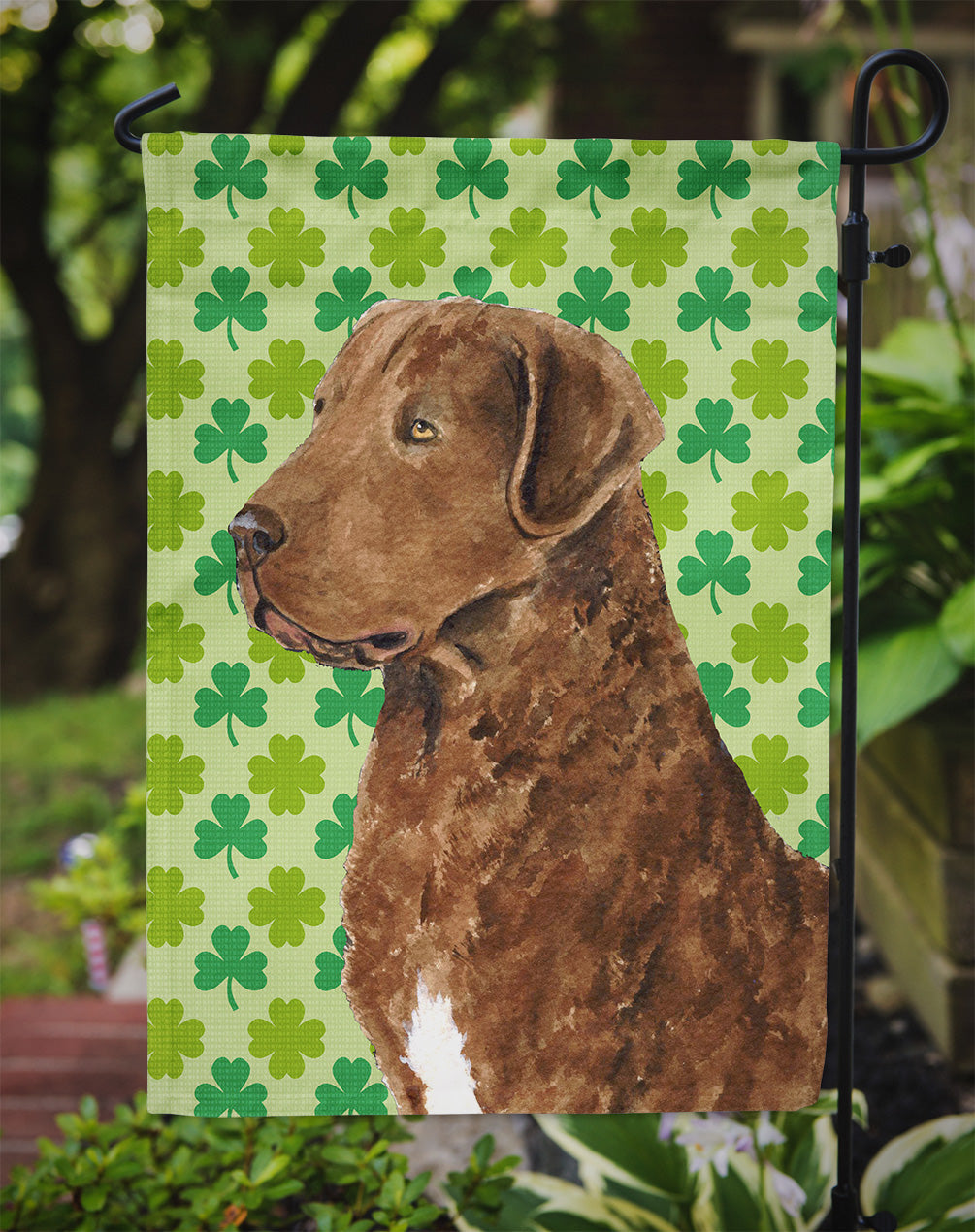Chesapeake Bay Retriever St. Patrick's Day Shamrock Portrait Garden Flag Mailbox Decorative Yard Banner Outside Patio Artwork for Flower Beds, Garden Size, Multicolor