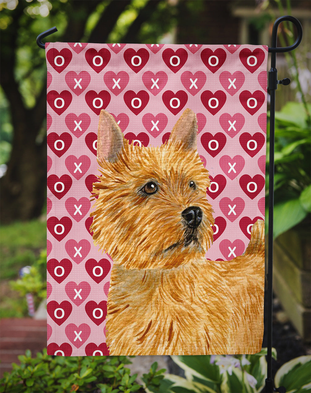 Norwich Terrier Hearts Love and Valentine's Day Portrait Garden Flag Mailbox Decorative Yard Banner Outside Patio Artwork for Flower Beds, Garden Size, Multicolor