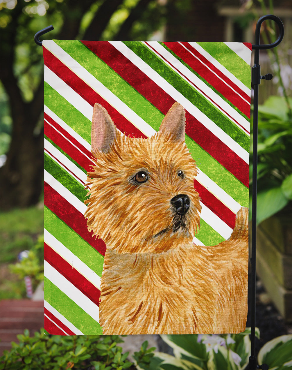 Norwich Terrier Candy Cane Holiday Christmas Garden Flag Mailbox Decorative Yard Banner Outside Patio Artwork for Flower Beds, Garden Size, Multicolor