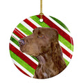 Field Spaniel Candy Cane Holiday Christmas Ceramic Ornament Christmas Tree Hanging Decorations for Home Christmas Holiday, Party, Gift, 3 in, Multicolor