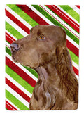 Field Spaniel Candy Cane Holiday Christmas Garden Flag Mailbox Decorative Yard Banner Outside Patio Artwork for Flower Beds, Garden Size, Multicolor