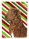Chesapeake Bay Retriever Candy Cane Holiday Christmas Garden Flag Mailbox Decorative Yard Banner Outside Patio Artwork for Flower Beds, Garden Size, Multicolor
