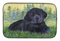 Labrador Dish Drying Mat Absorbent Dish Drying Mat Pad for Kitchen Counter Dish Drainer Mat for Countertop, 14 x 21", Multicolor