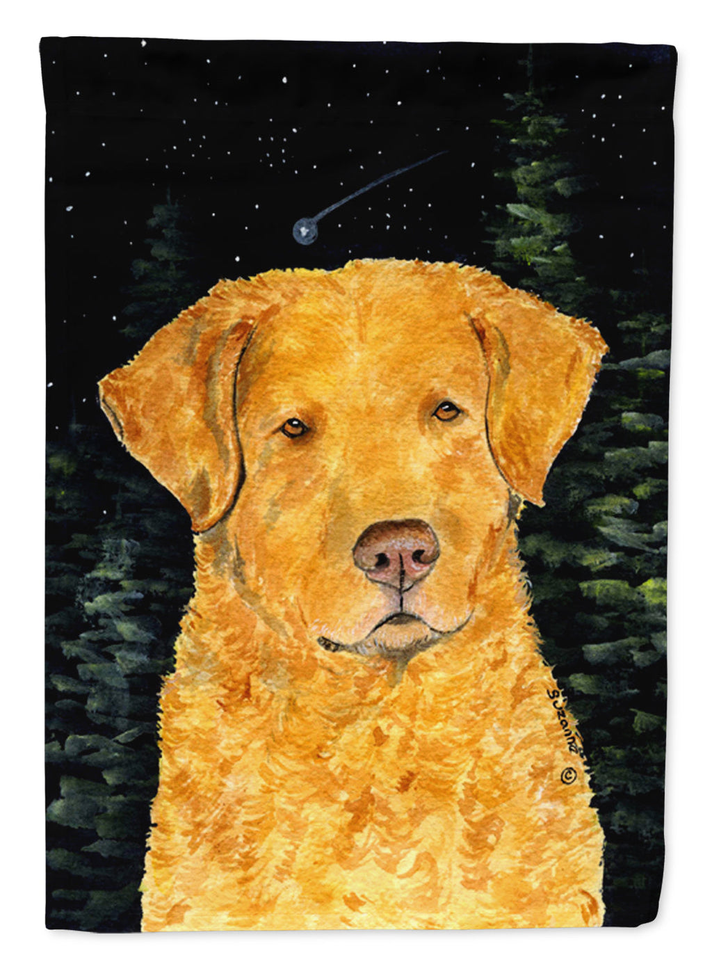 Starry Night Chesapeake Bay Retriever Garden Flag Mailbox Decorative Yard Banner Outside Patio Artwork for Flower Beds, Garden Size, Multicolor