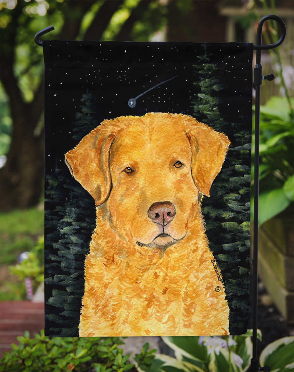 Starry Night Chesapeake Bay Retriever Garden Flag Mailbox Decorative Yard Banner Outside Patio Artwork for Flower Beds, Garden Size, Multicolor