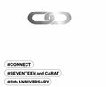Seventeen 8th Anniversary Official MD