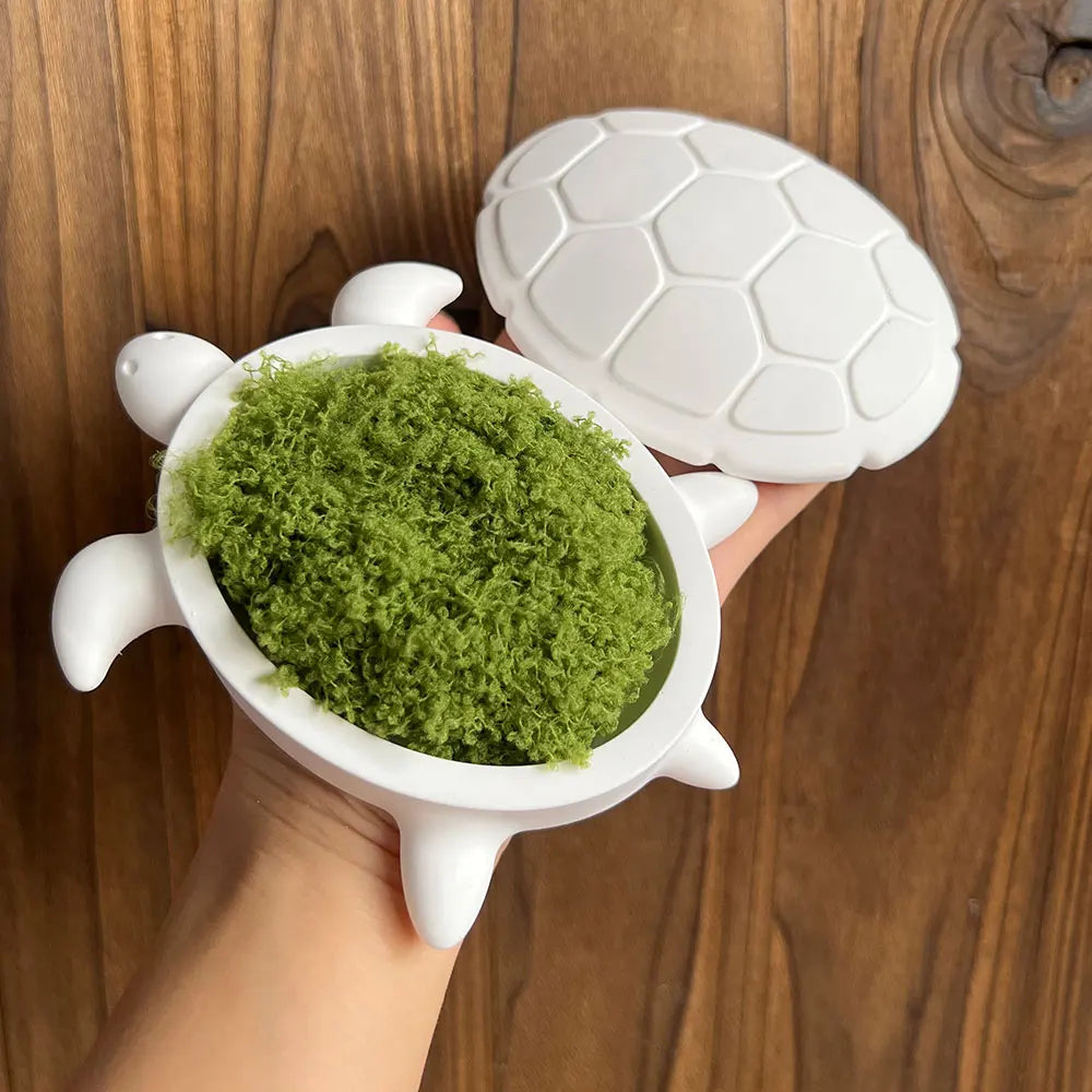 Turtle Storage Box Silicone Molds Kits DIY Scented Ocean Animals Jewelry Display Plate Tray With Lid Plaster Resin Mold